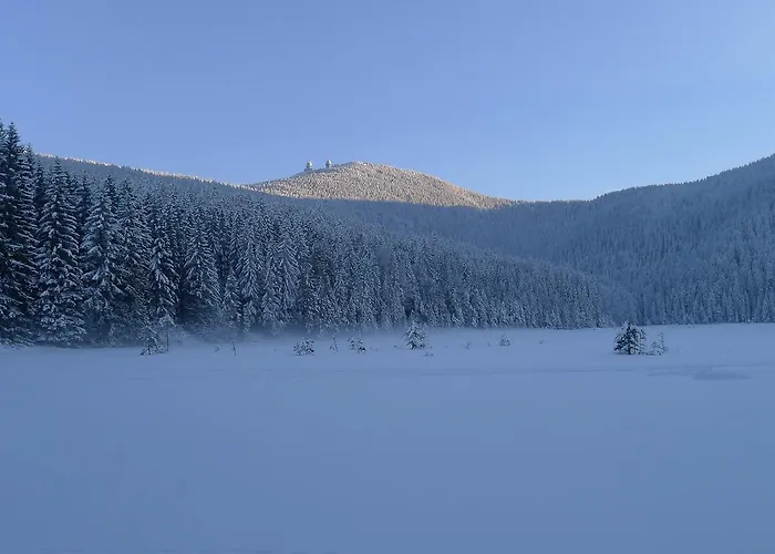 Bruni Huber * Bayerisch Eisenstein
